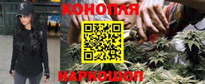 дурь Гатчина