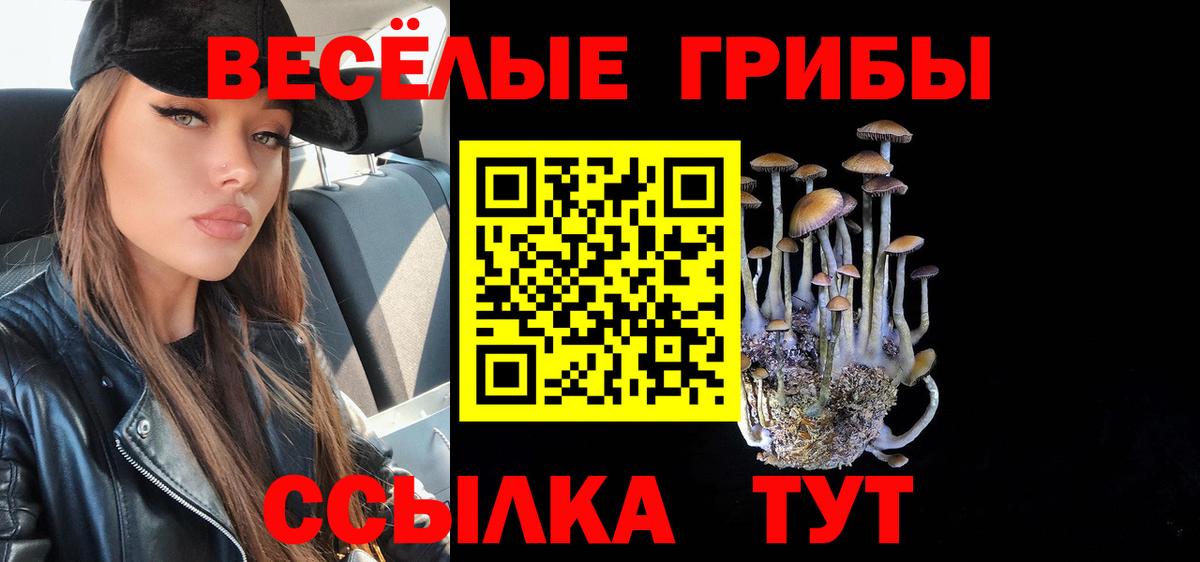 Галлюциногенные грибы Magic Shrooms  Вход с VPN  Всеволожск  Галлюциногенные грибы Cubensis 